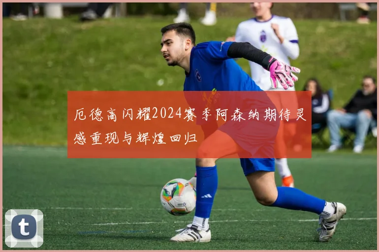 厄德高闪耀2024赛季阿森纳期待灵感重现与辉煌回归